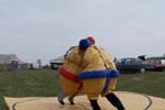 sumo b�rbead�s